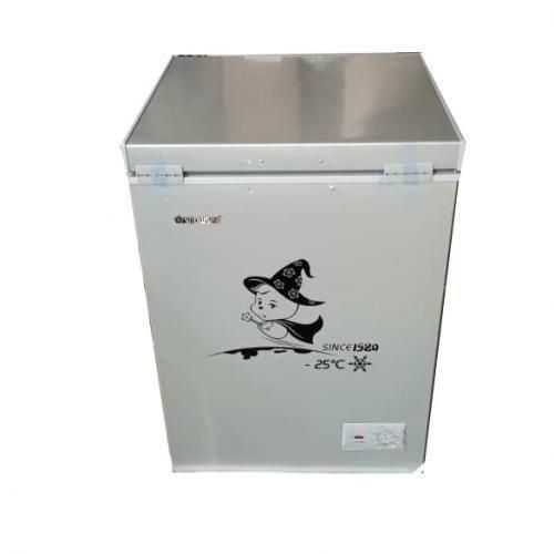 Snowsea Fast Cooling Chest Freezer BD-108 NEW 2025